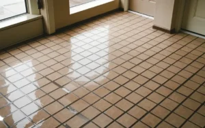 Wet ceramic tile floor with puddles of water inside a home entry area.